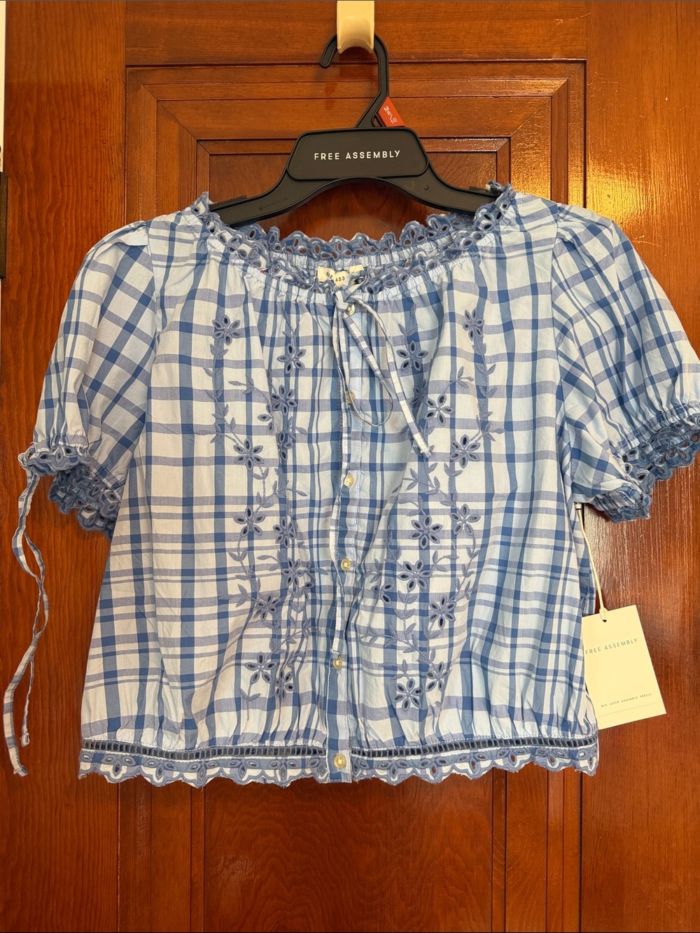 Free Assembly Blue Plaid Embroidered Peasant Blouse